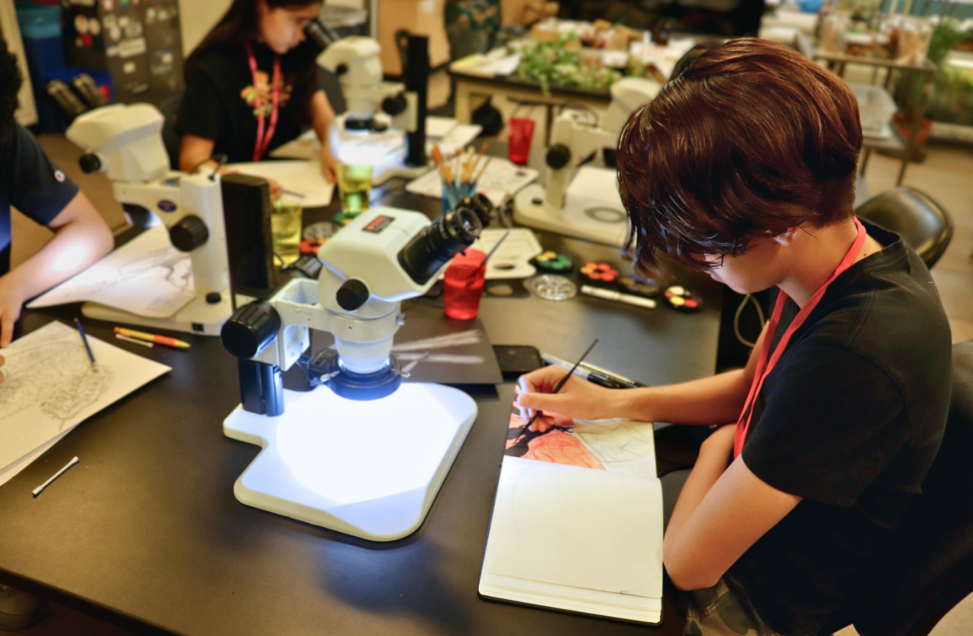 A student works on an illustration with reference from microscope-observed plant biology