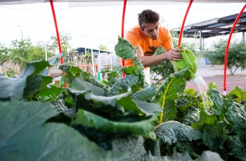 ASU School of Sustainability