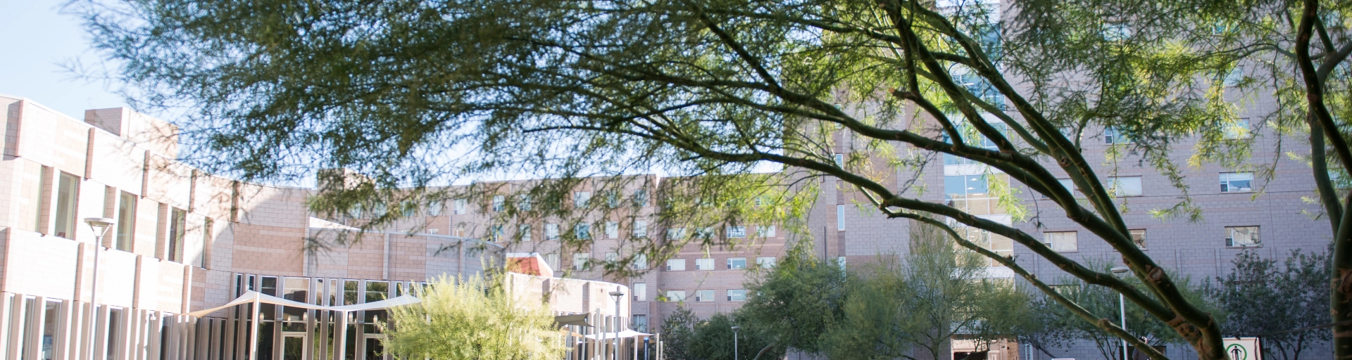 Sun Devil Movement for Violence Prevention