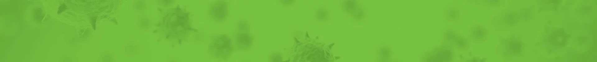 novel-title-banner