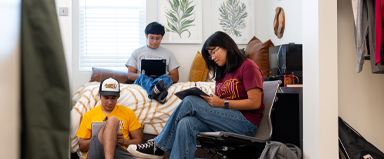 Finding Community as an Online Student