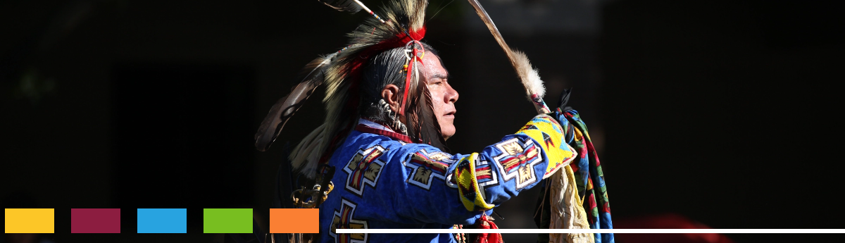 Indigenous culture week