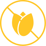 No flowers
