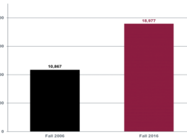 enrollment_numbers_chart-340x225.png